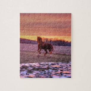 Puzzle Stallion Running Home at Sunset on Ranch