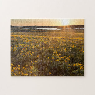 Puzzle Stand Des Fleurs sauvages D'Arrowleaf Balsamroot