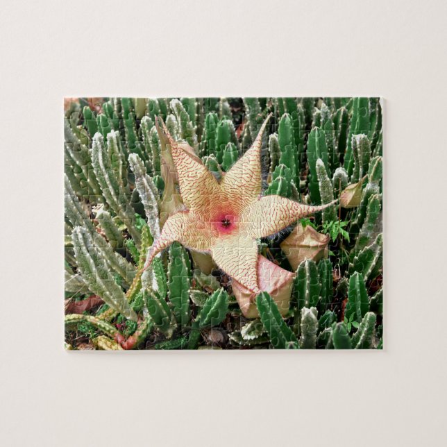 Puzzle Stapelia Starfish Cactus Photo Flower (Horizontal)