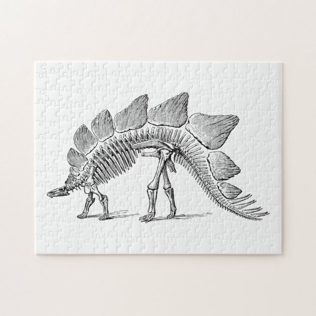 Puzzle Stegosaurus Dinosaure Squelette Fossile (Horizontal)