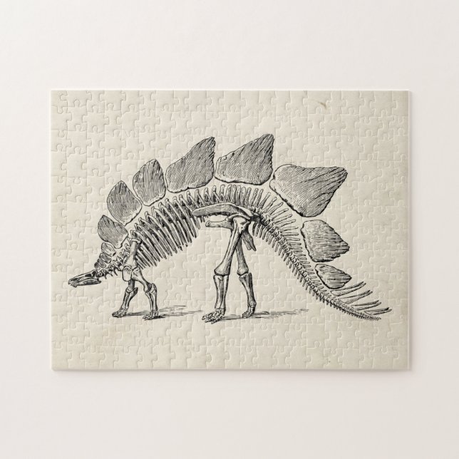 Puzzle Stegosaurus Dinosaure Squelette Fossile (Horizontal)
