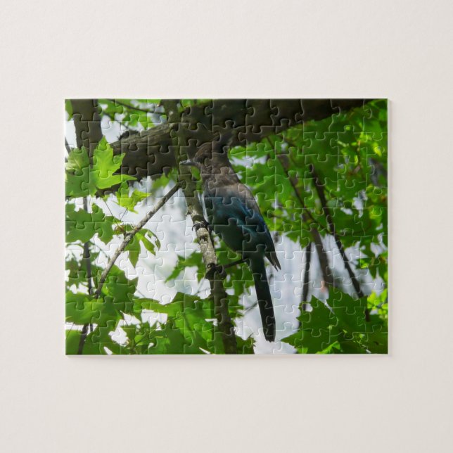 Puzzle Steller's Jay dans le parc national de Yosemite (Horizontal)