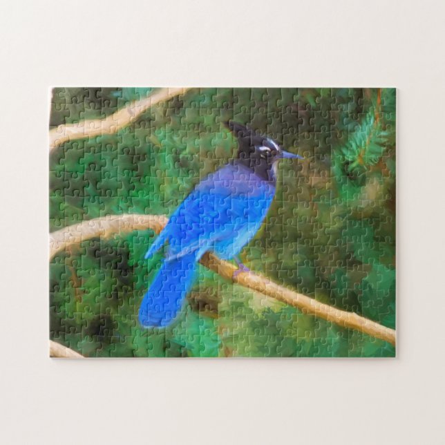 Puzzle Steller's Jay Painting - Art original pour oiseaux (Horizontal)