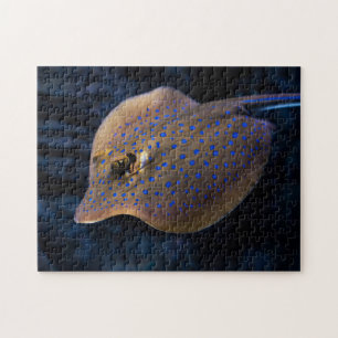 Puzzle Stingray sauvage Poisson Océan Océan Espèces Créat