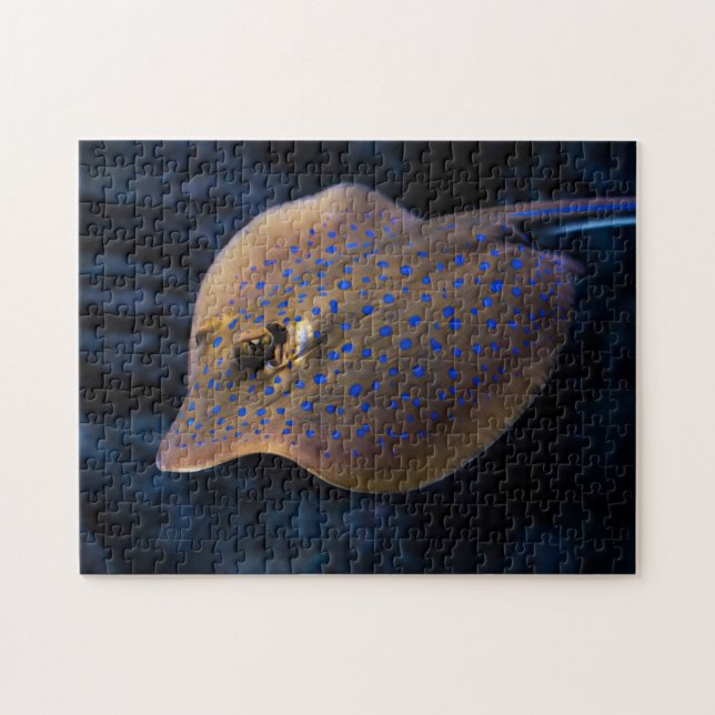 Puzzle Stingray sauvage Poisson Océan Océan Espèces Créat (Horizontal)