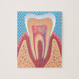 PUZZLE STRUCTURE DE TOOTH