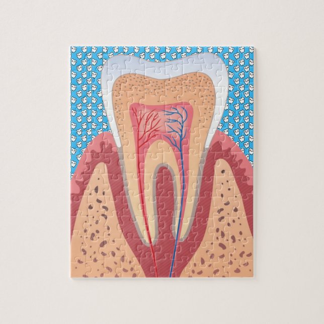 PUZZLE STRUCTURE DE TOOTH (Vertical)