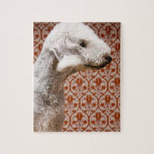 Puzzle Studio tiré de Bedlington Terrier