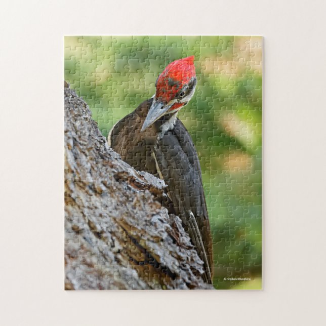 Puzzle Stunning Portrait of Pileated Woodpecker on Tree (Vertical)