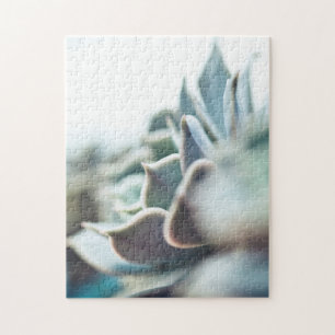 Puzzle Succulent d'Echeveria