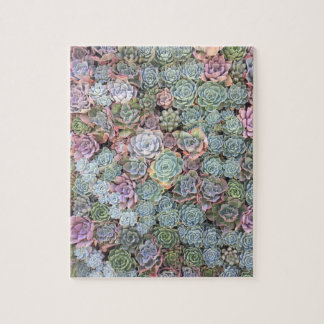 Puzzle succulent en pastel de jardin