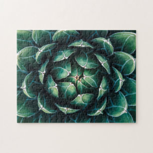 Puzzle Succulent vert et blanc