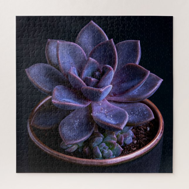Puzzle Succulente  (Vertical)