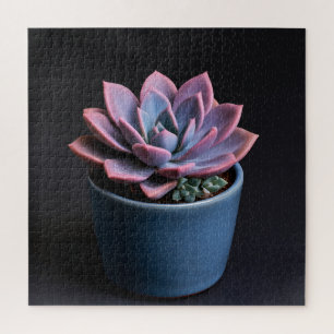 Puzzle Succulente