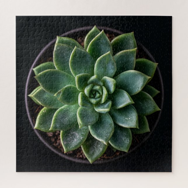 Puzzle Succulente  (Vertical)