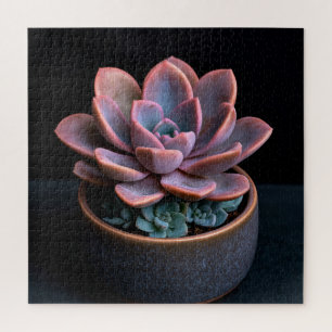 Puzzle Succulente