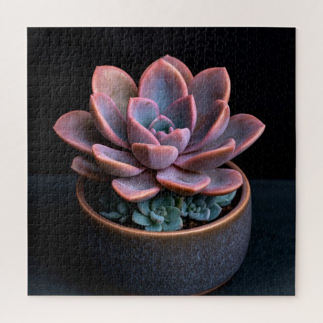 Puzzle Succulente  (Vertical)