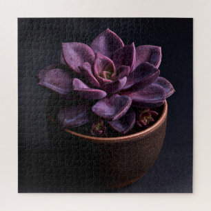 Puzzle Succulente