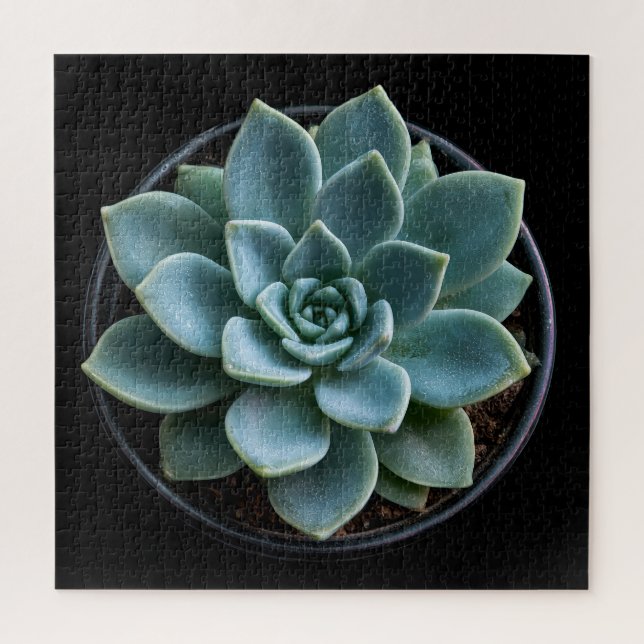 Puzzle Succulente  (Vertical)