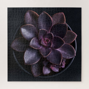 Puzzle Succulente 