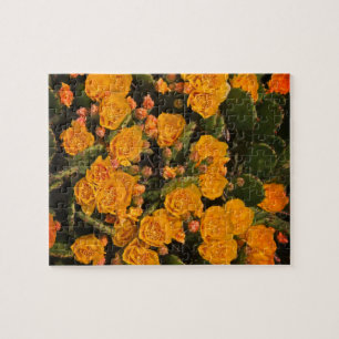 Puzzle Succulents Fleurs Jardin Jaune Vert Plantes