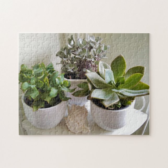 Puzzle Succulents mignons en pots avec Coquillages Photo (Horizontal)