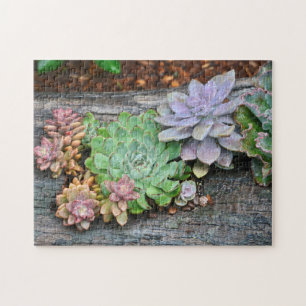 Puzzle Succulents sur bois de chauffe