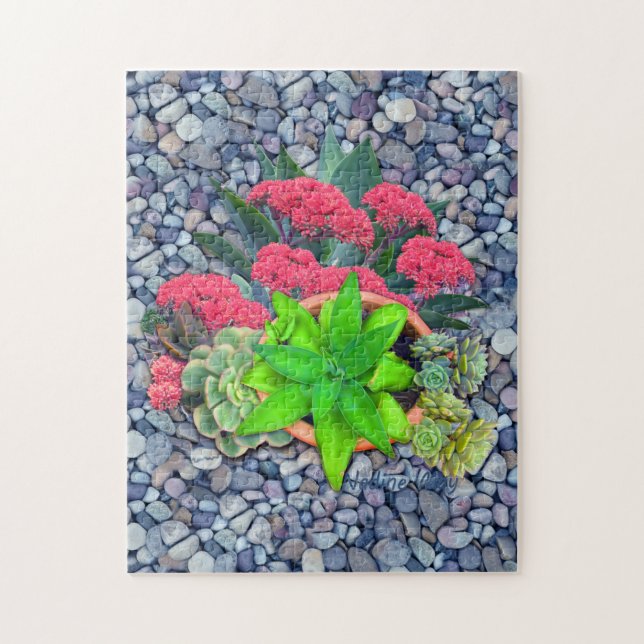 Puzzle Succulents sur un lit de rivière (Vertical)