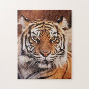 Puzzle Sumatran Tiger