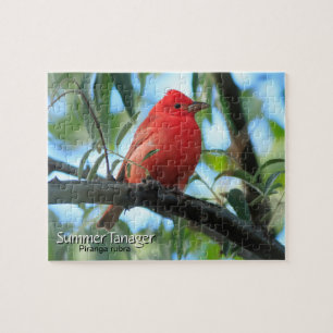 Puzzle Summer Tanager Bird
