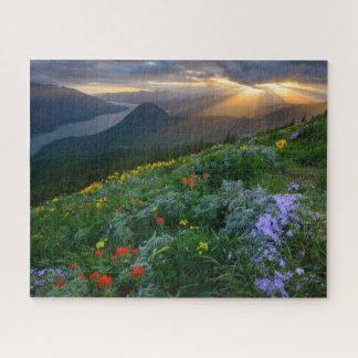 Puzzle Sun Rays Shine sur Fleurs sauvages sur Dog Mountai