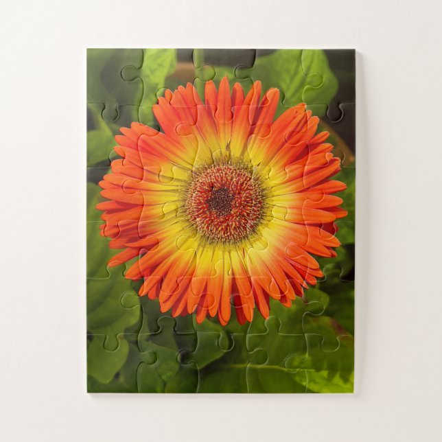 Puzzle Sunburst Gerbera | Alzheimer’s Tribute (Vertical)