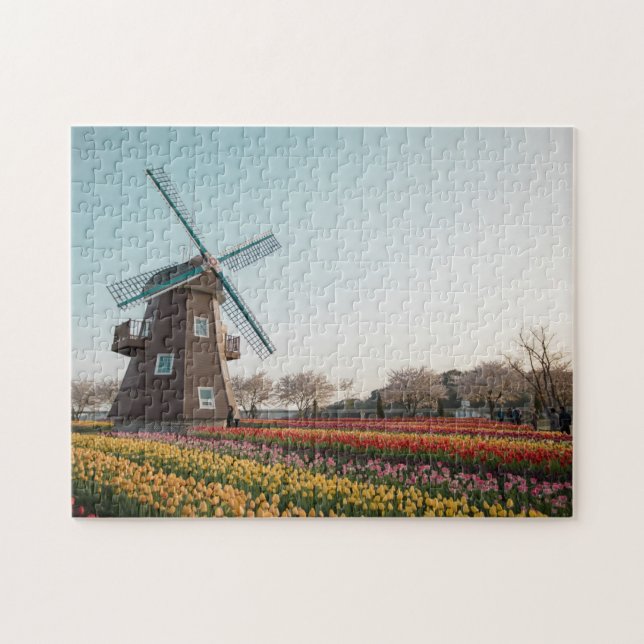 Puzzle Suncheon Bay The Dutch Garden Wmill Tulip Jigsa (Horizontal)