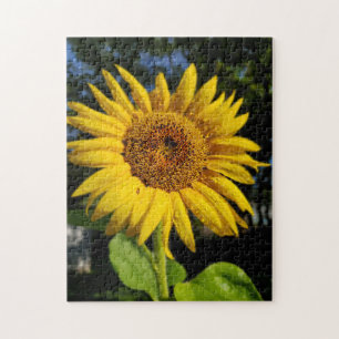 Puzzle Sunflower