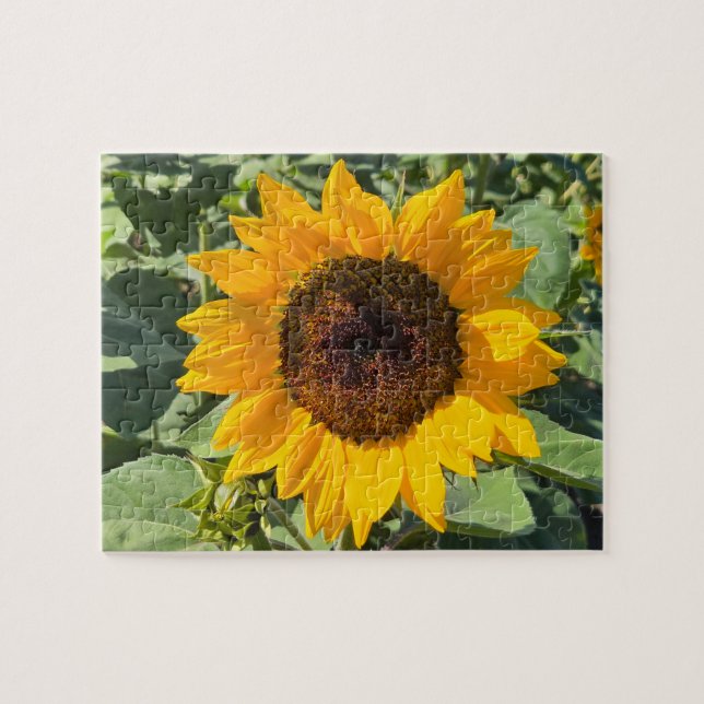 Puzzle Sunflower (Horizontal)