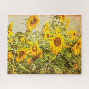 Puzzle Sunflower Field Vintage Floral Jaune antique