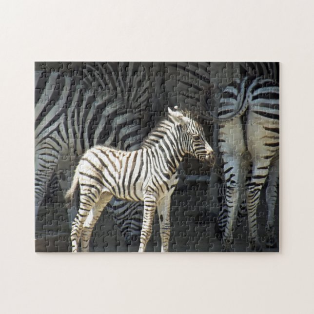 Puzzle Sunny Baby Zebra (Horizontal)
