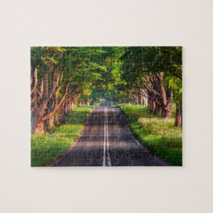 Puzzle Sunny Trees Road