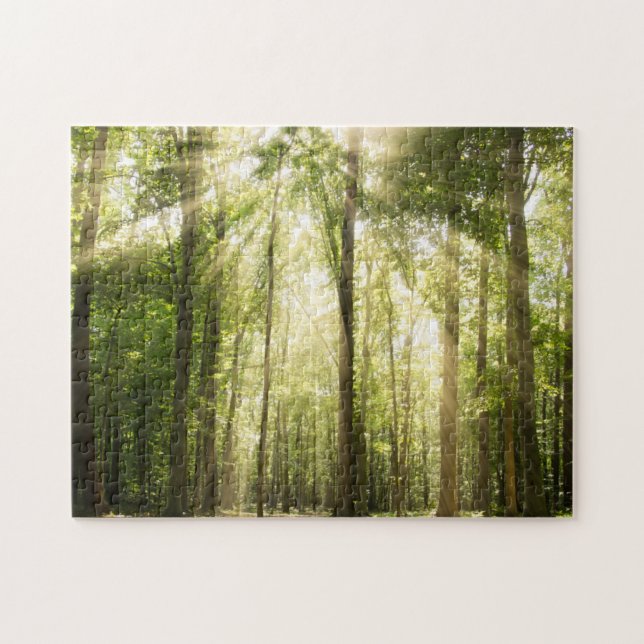 Puzzle Sunrays par des cimes d'arbre (Horizontal)