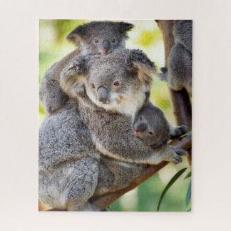 Puzzle Super Cute Koala Wildlife Family Group
