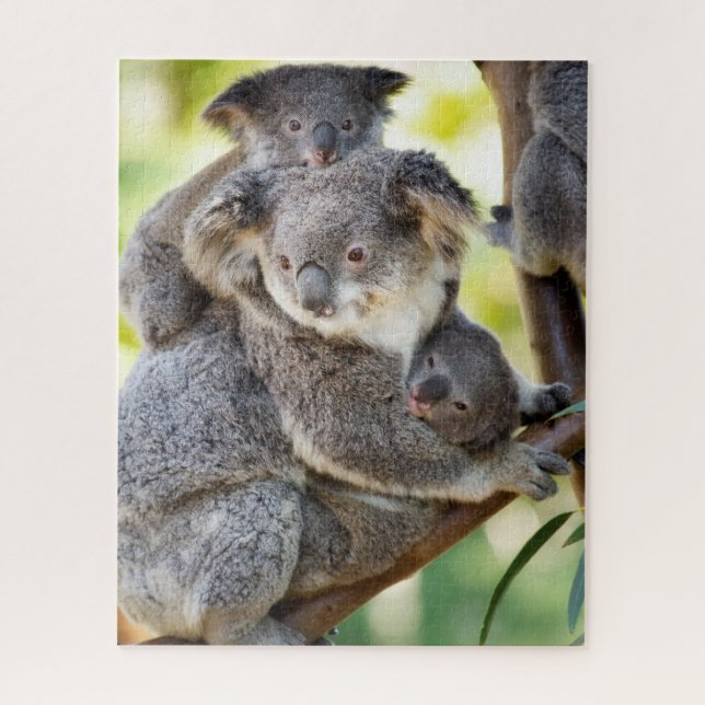 Puzzle Super Cute Koala Wildlife Family Group (Vertical)