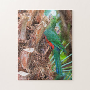 Puzzle Superbe perroquet australien Escalade d'un arbre