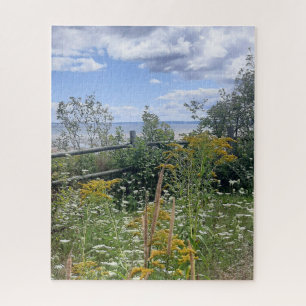 Puzzle Survol de prairie avec fleurs estivales