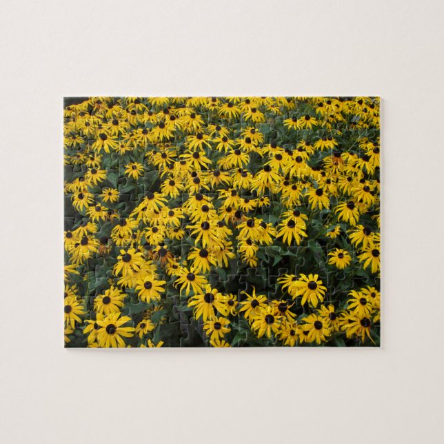Puzzle Susans Noir-Eyed (Horizontal)