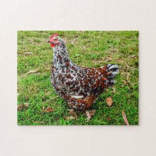 Puzzle Sussex Specké Calico Poulet Hen