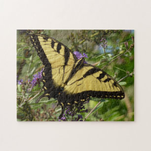 Puzzle Swallowtail sur Butfly Bush