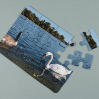 Swan et canard nageant | Le Royal Park London