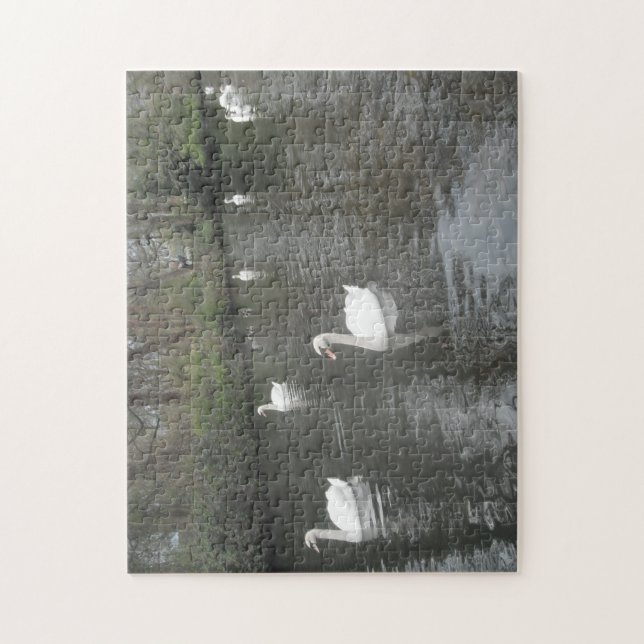 Puzzle Swans Swimming (Vertical)