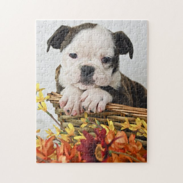 Puzzle Sweet Bulldog Puppy (Vertical)