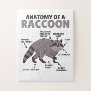 Puzzle Sweet Raccoon Explication Anatomie D'Un Raccoon